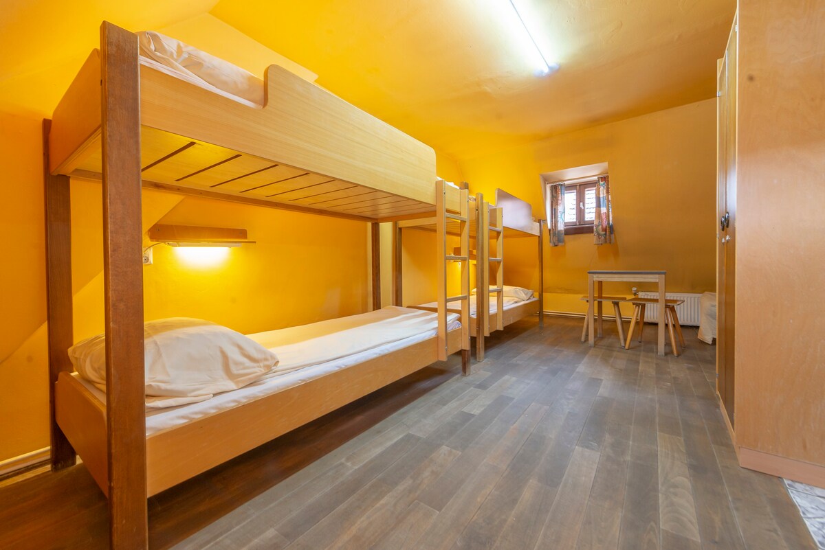 Burg-Hostel - 4卧室公用浴室E102