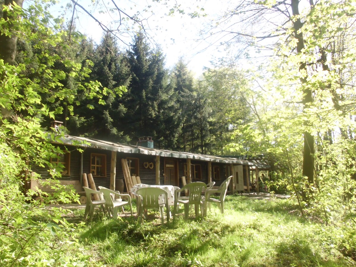 Das wilde Auwaldhaus - Ferienwohnung Eulentreff