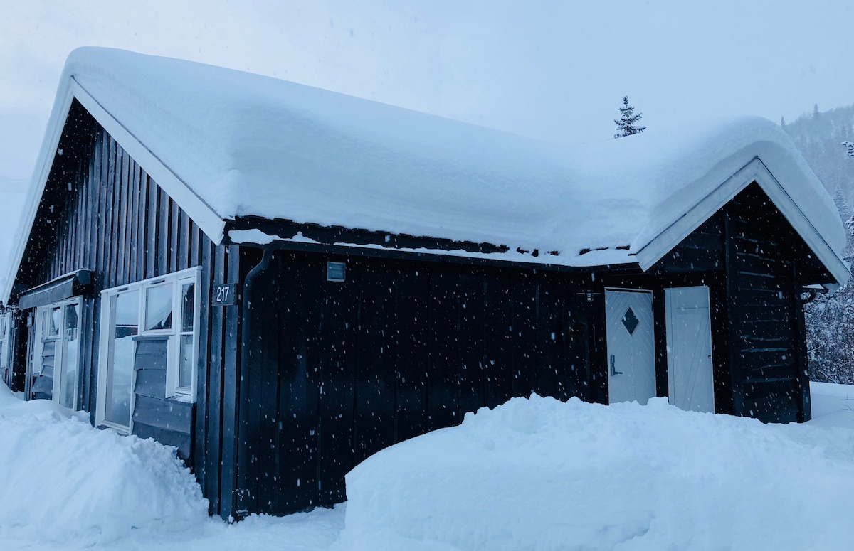 Family friendly cabin close to the slopes