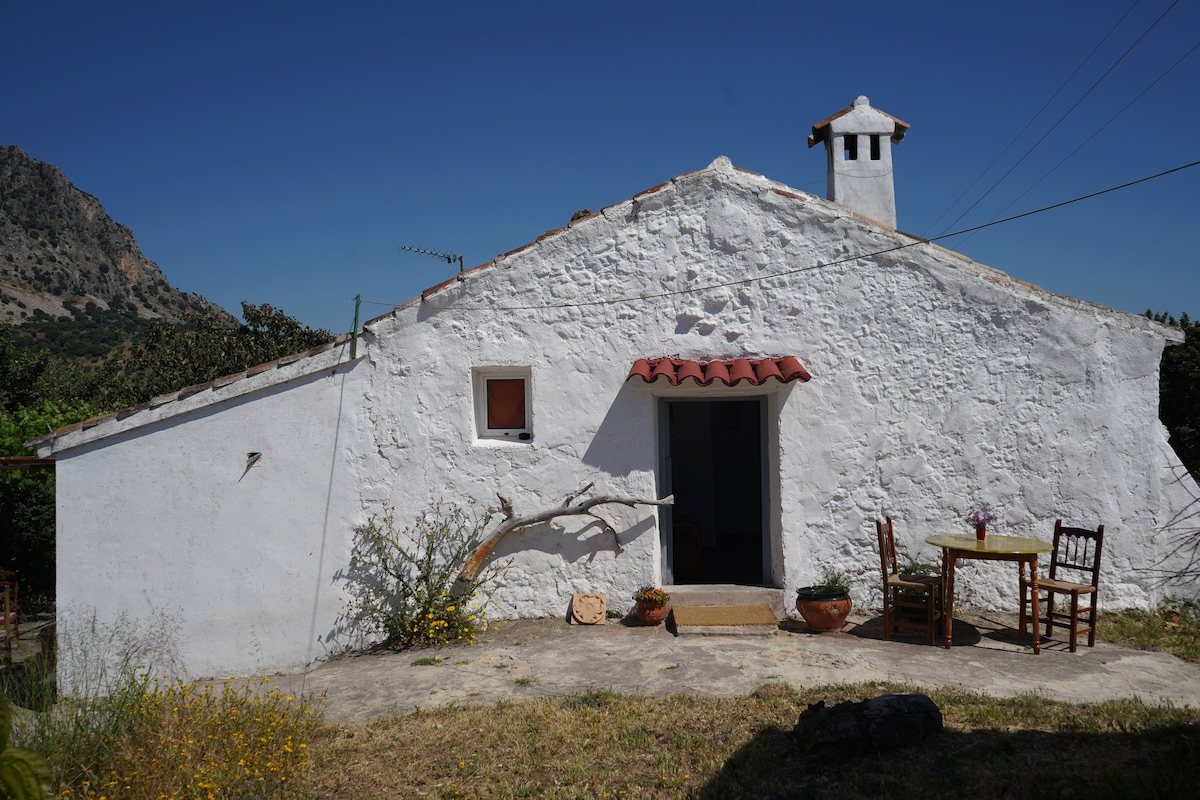 Casa Utopia I