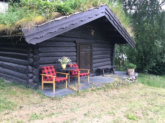 Sør-Fron的民宿