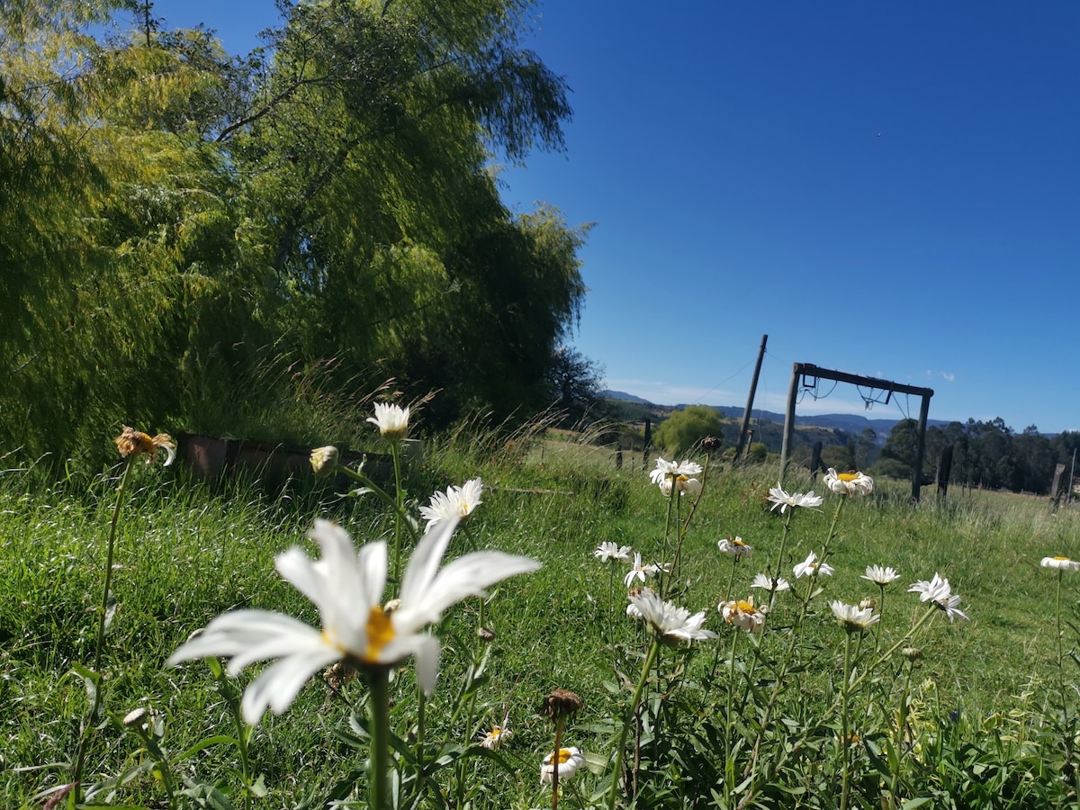 Cabaña Campestre Las Acacias Paipa