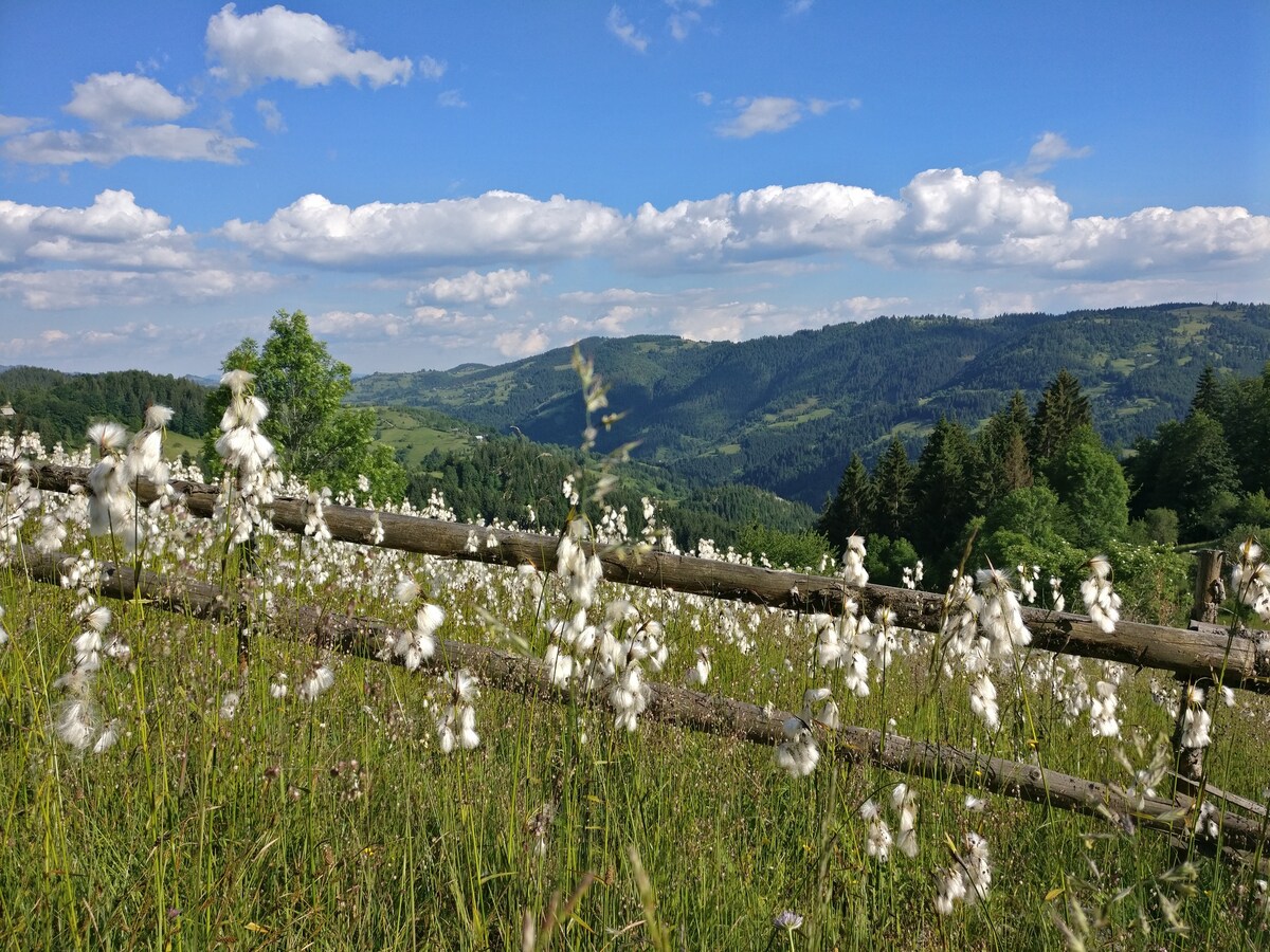 在阿普塞尼自然公园（ Natural Park of Apuseni ）活动