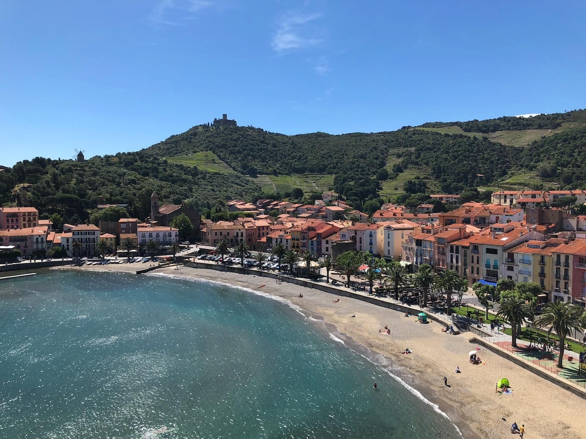 Collioure ：距离海滩50米的单间公寓