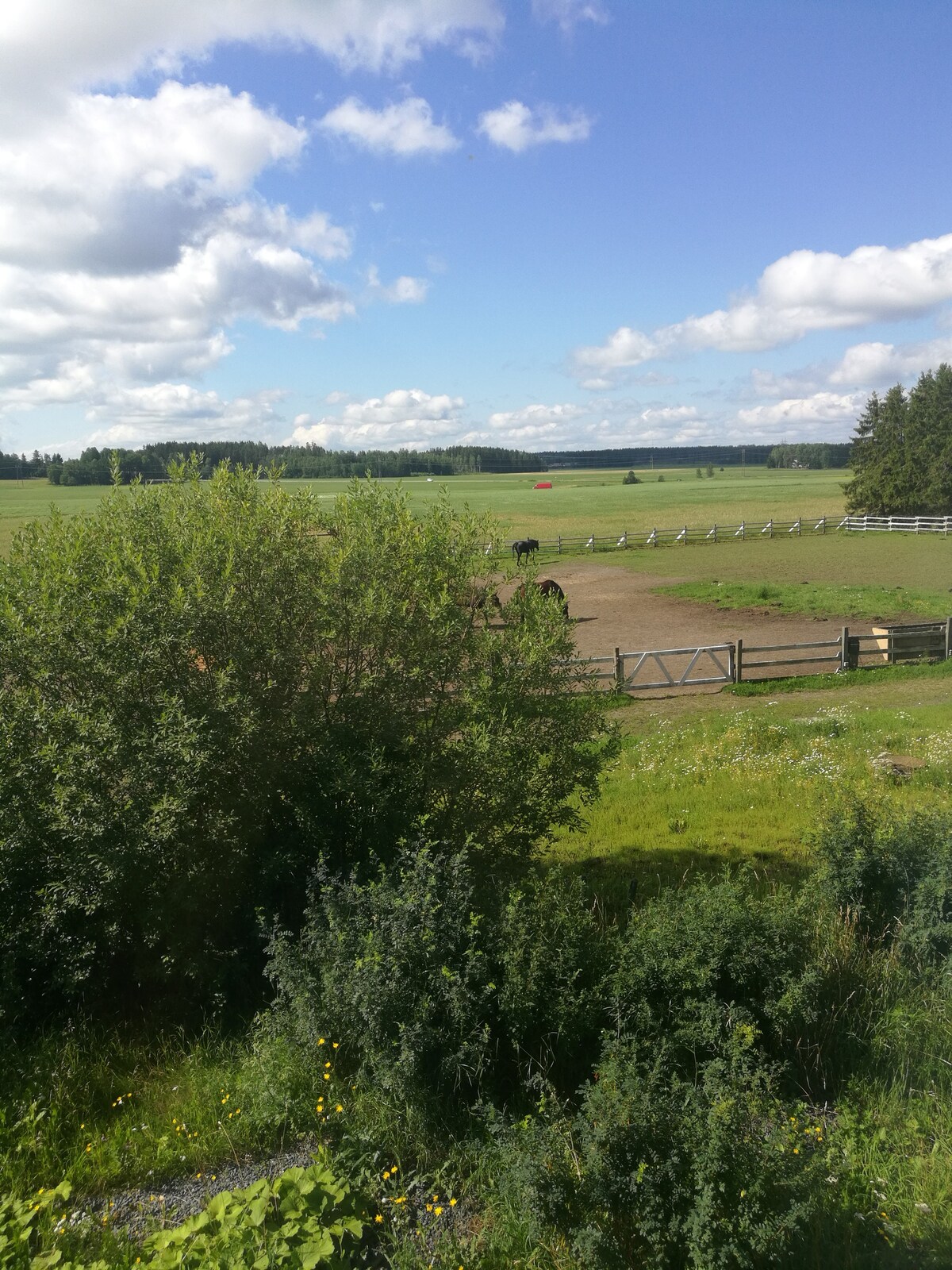 Majoitu maaseudulla hevostilan päärakennuksessa