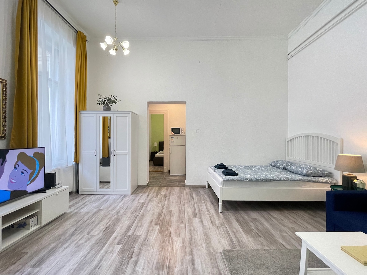 Extremely Quiet and cozy Centre Apart near Danube