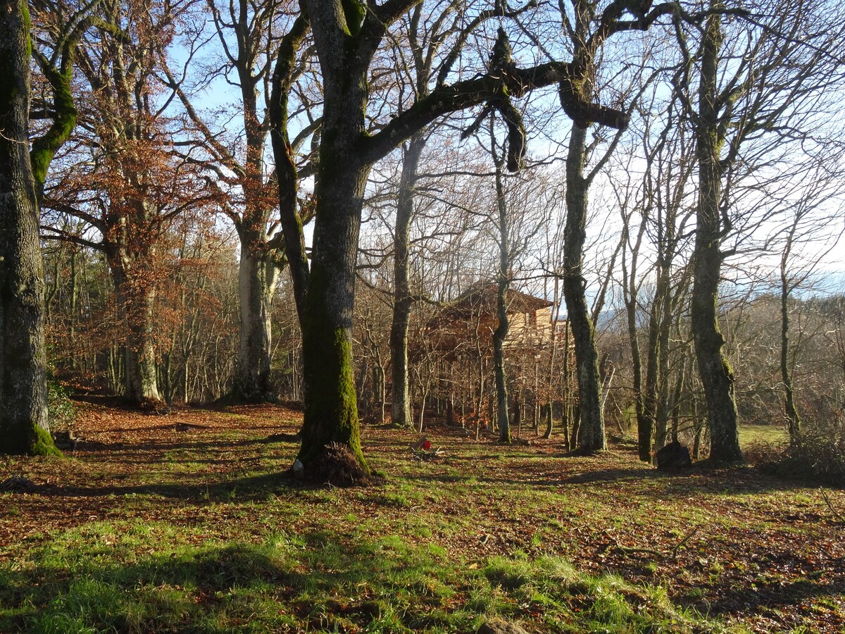 La Cabane des Fayards