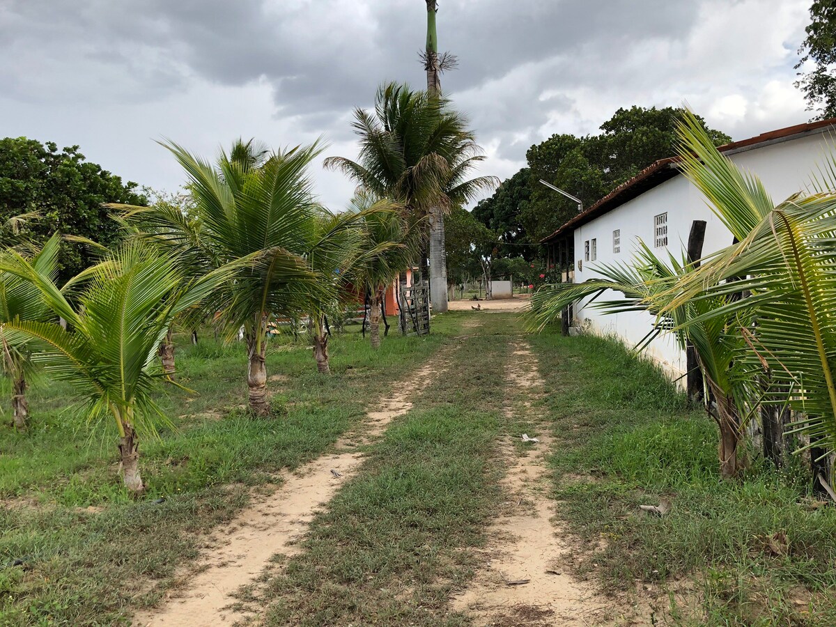 Fazenda Em Buique Pernambuco