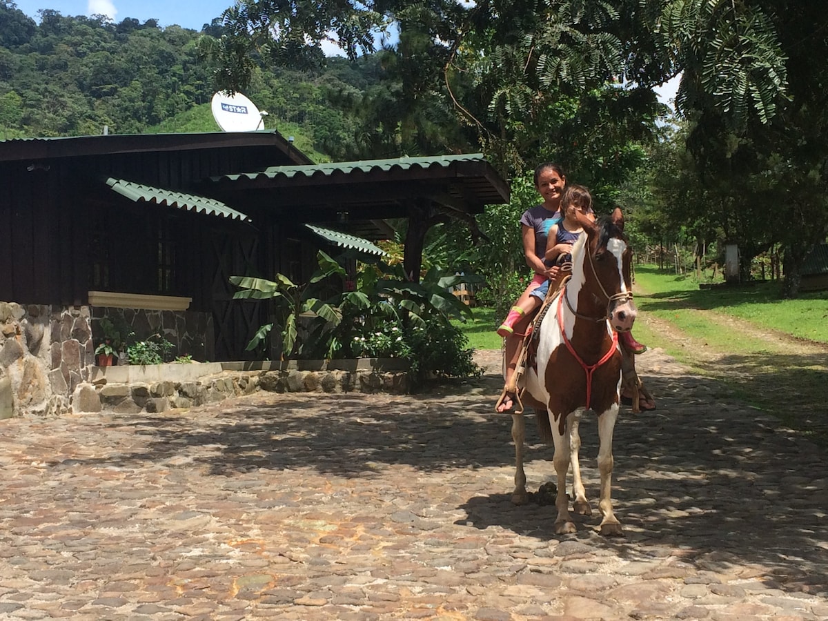 Malekus Mountain Lodge