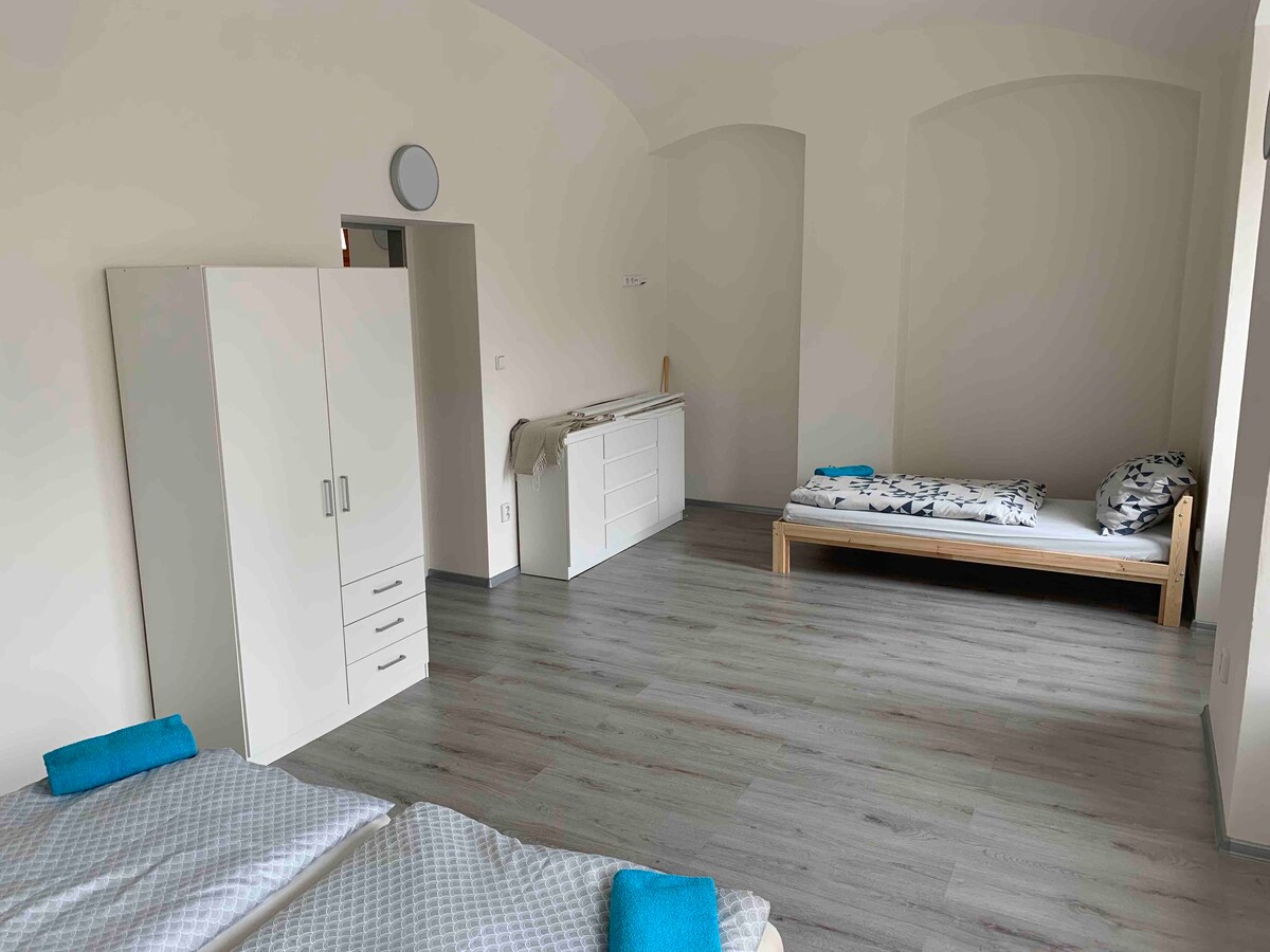 Apartmány Žižkova -  apartmán v přízemí