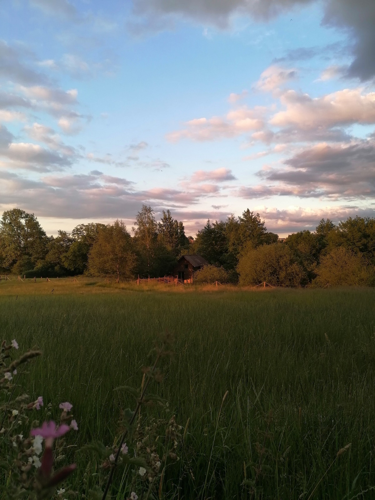 La Cabane aux Libellules