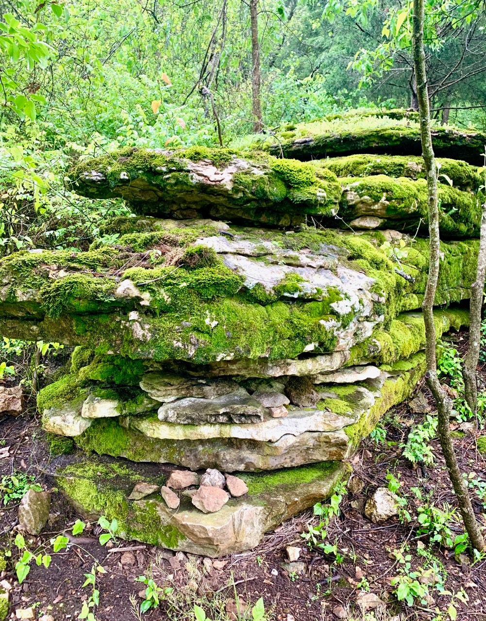 雄伟的套房，僻静，俯瞰Clifty Creek