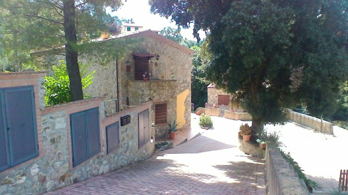 Appartamento in Antico Borgo Le Querce - Pastina