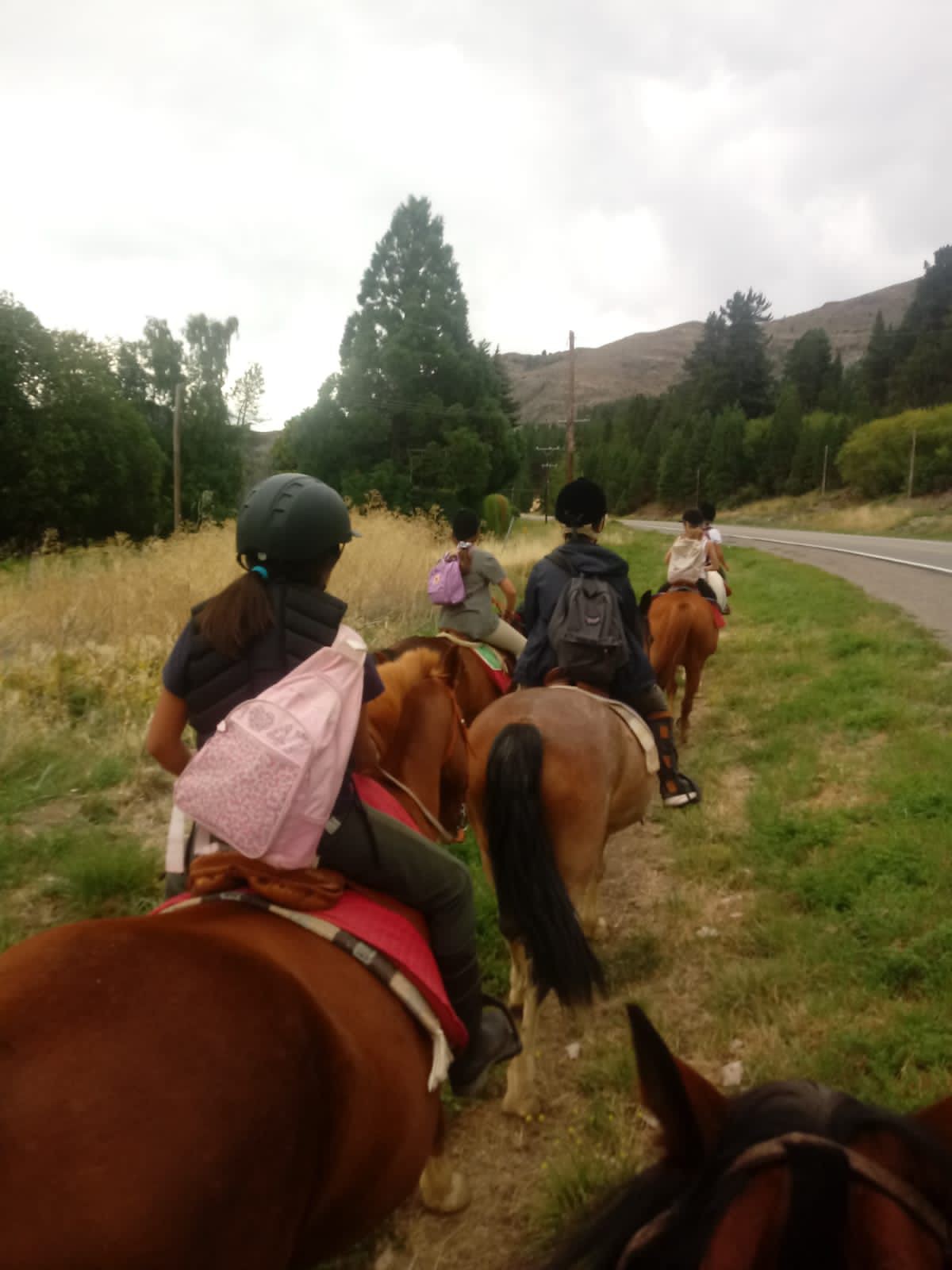 Casa de Campo 
en Esquel Chubut