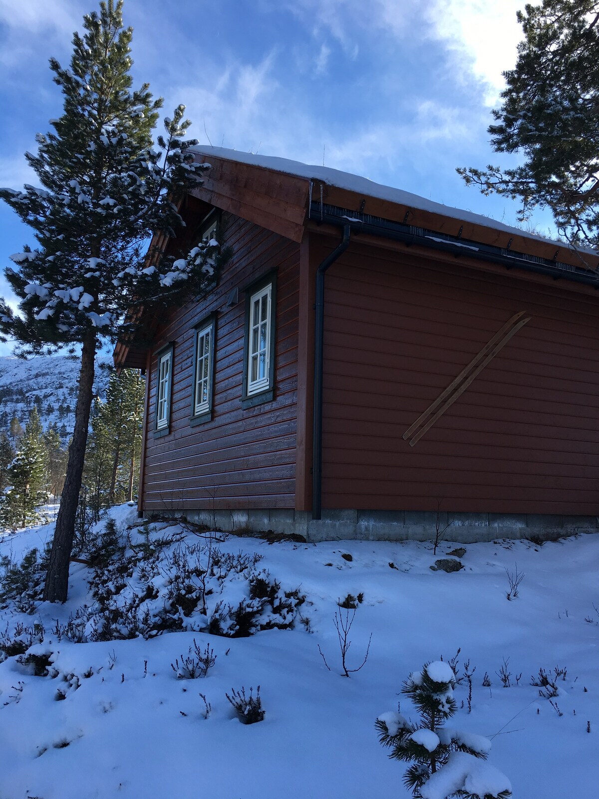 Trolltunga和Røldal滑雪中心之间的客房