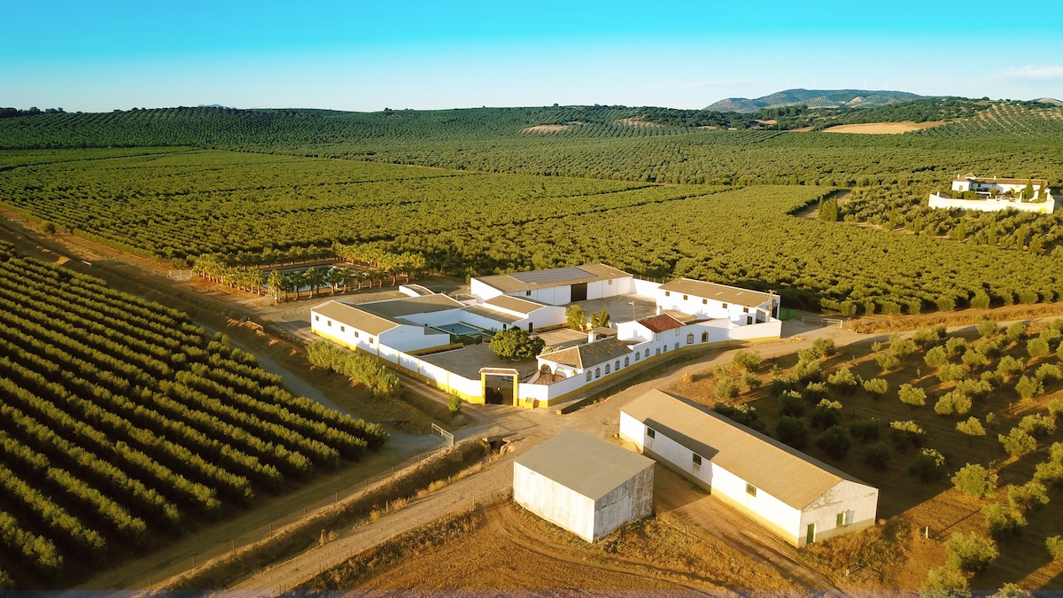 Casa Rural Las Piletas en la Vega de Antequera