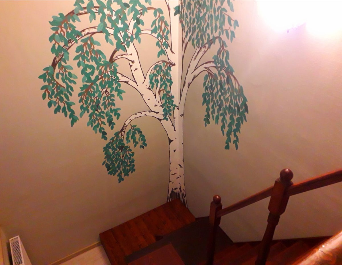 桦树单间公寓