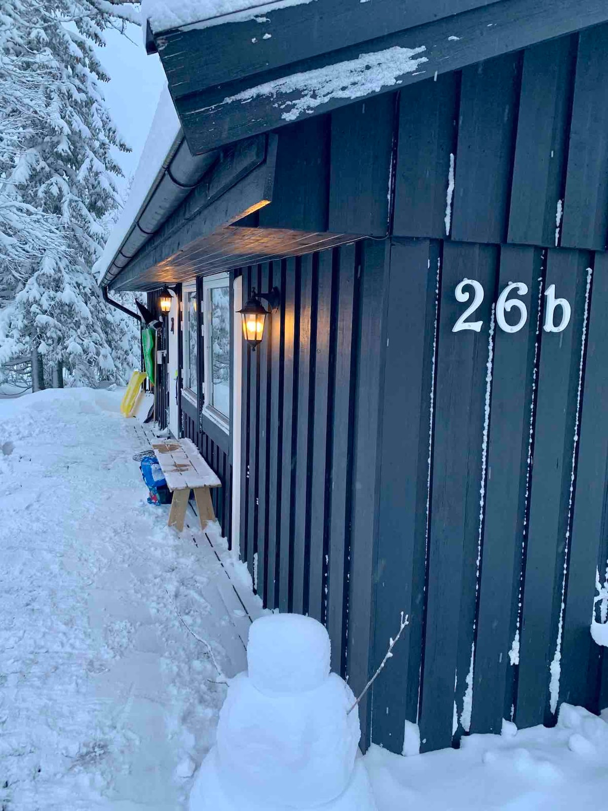 靠近滑雪度假村的舒适乡村小屋