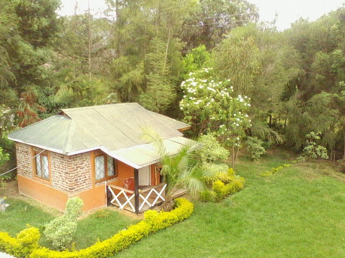 STEVE 's COTTAGE.homely