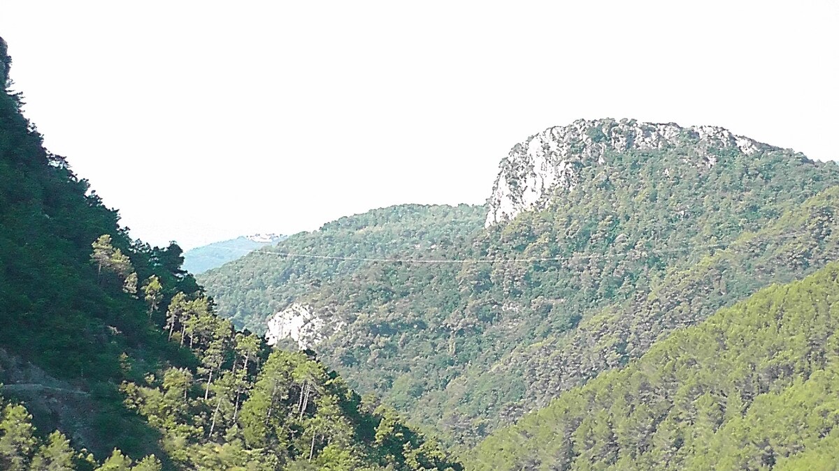 大海和山之间的木制度假木屋