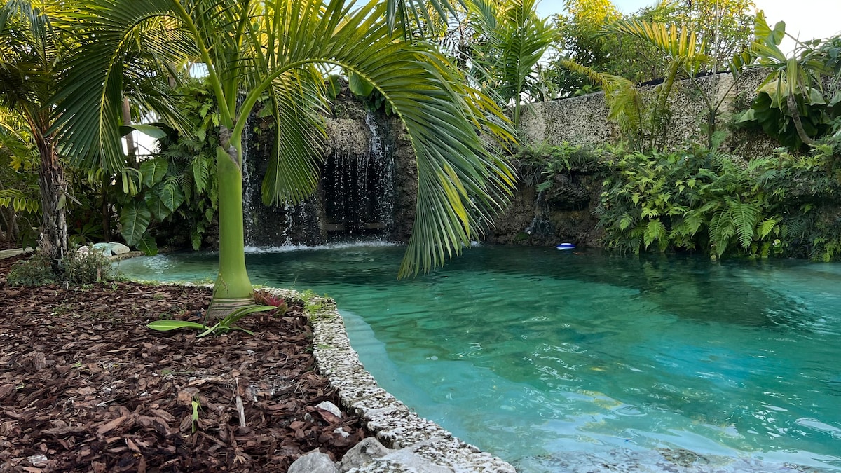 Casa Papaya Miami +私人瀑布
