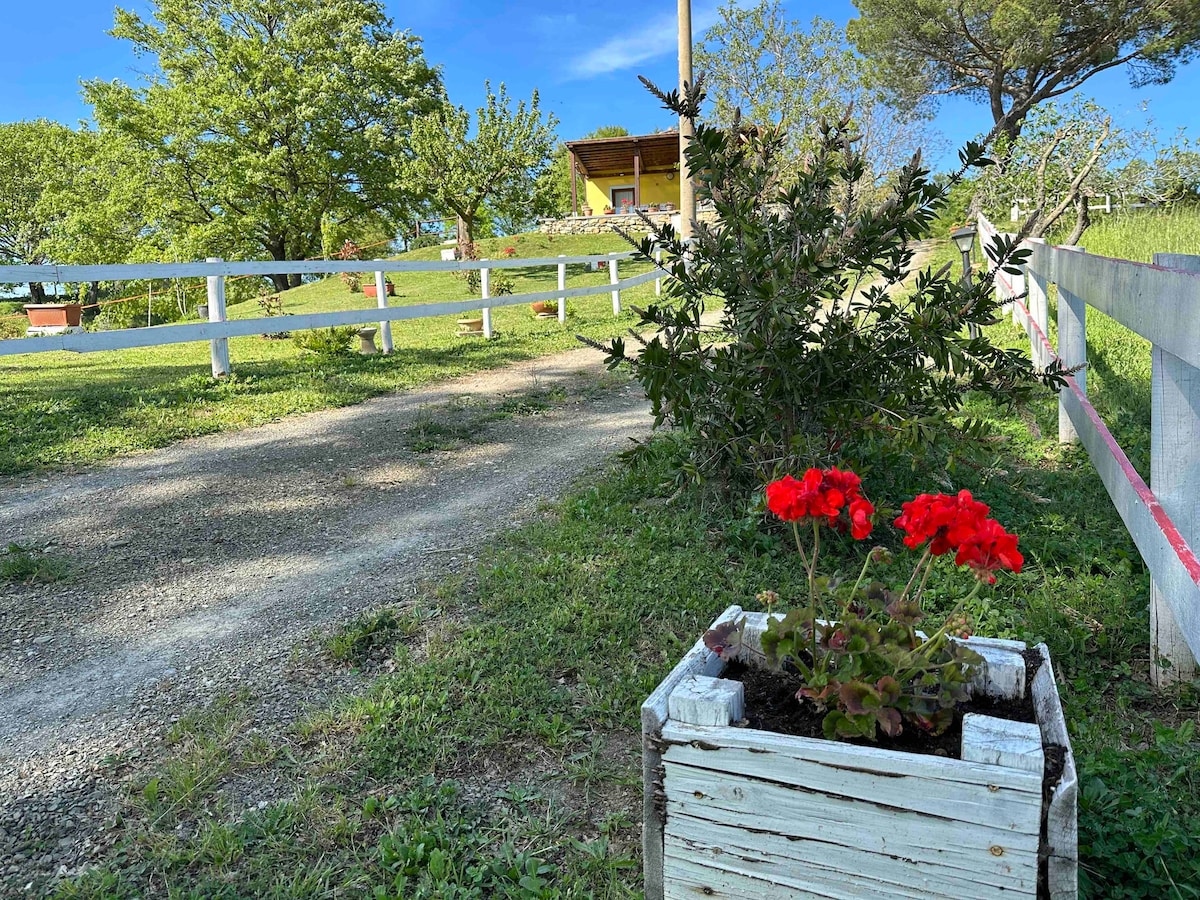 Casa Vacanze Villa Matilde