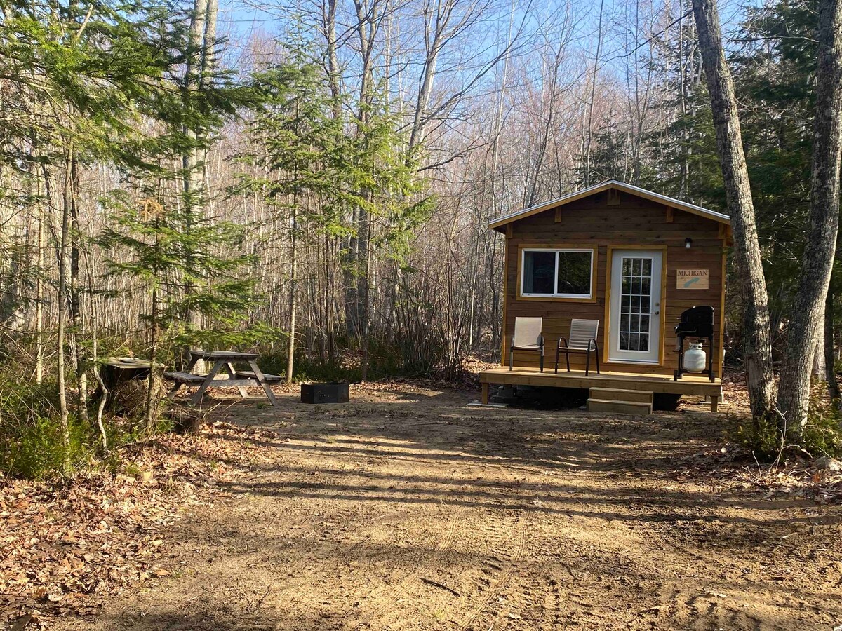 Great Lake Cabins (The Michigan Cabin)