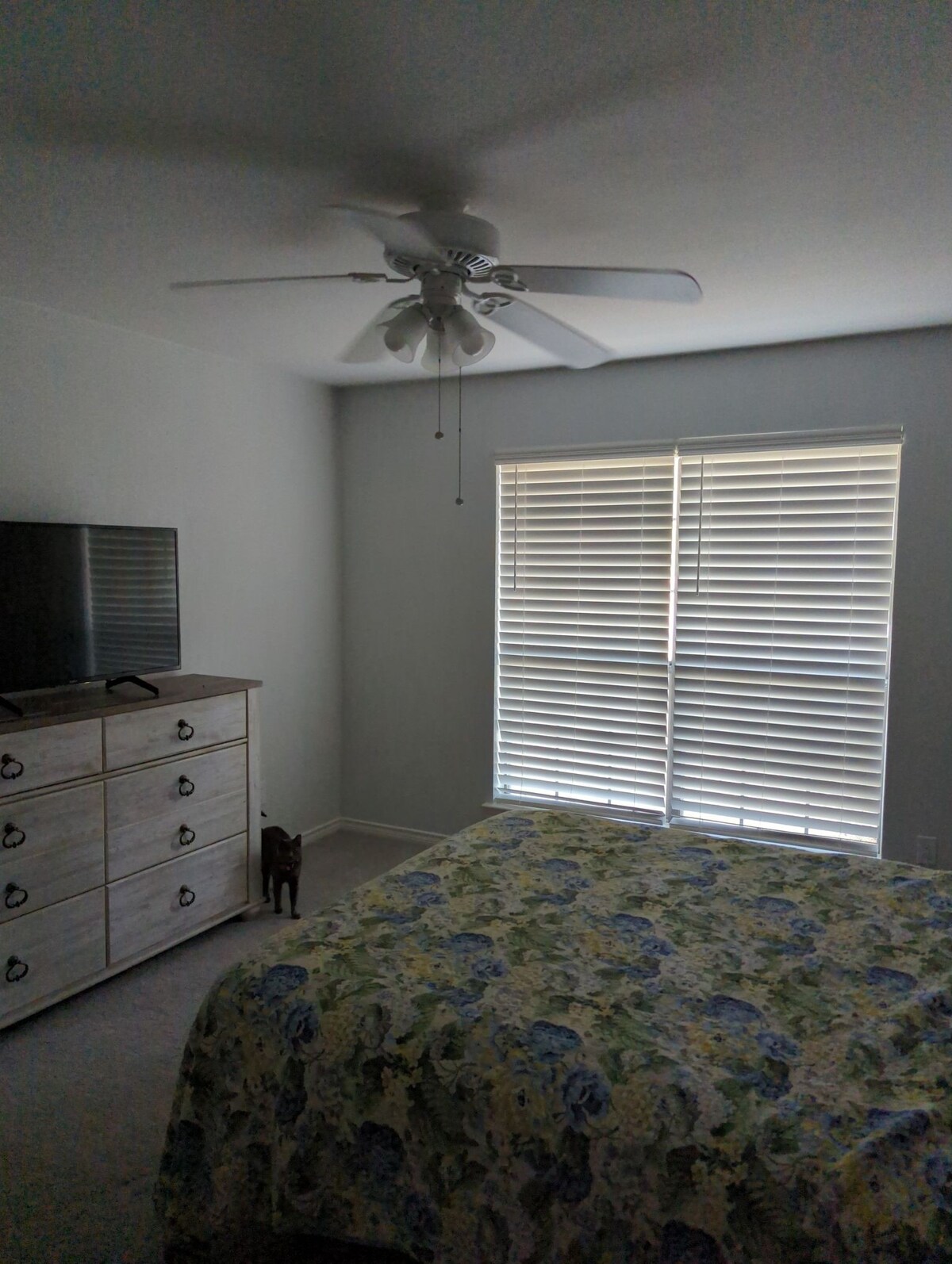 Cozy Guest Room in Richardson
