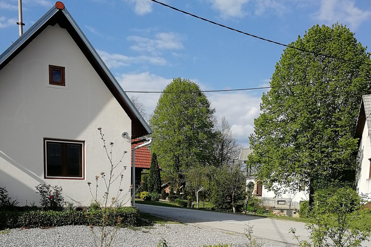 Apartment House Papa Near The Kolpa River