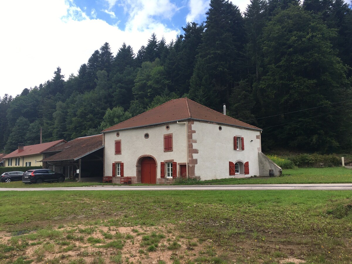 Maison  jusqu’à 10 personnes au coeur des Vosges