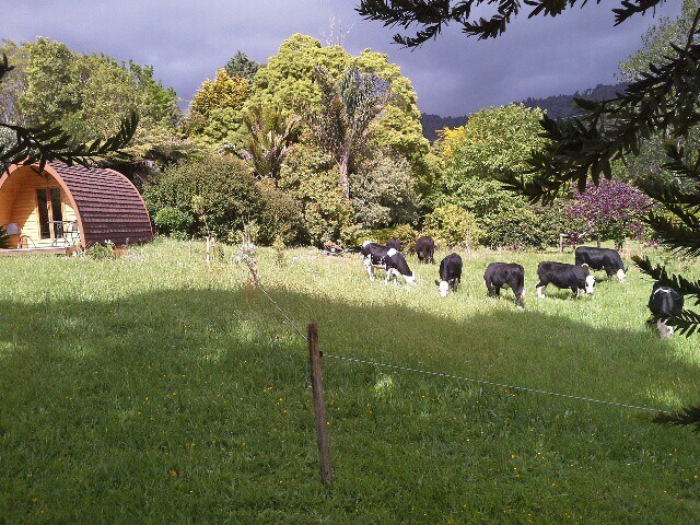 Kauri View Chalet