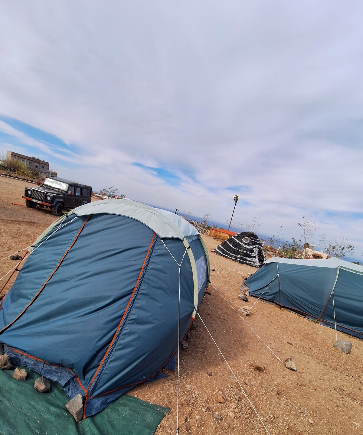 Tent Alpaca Desert