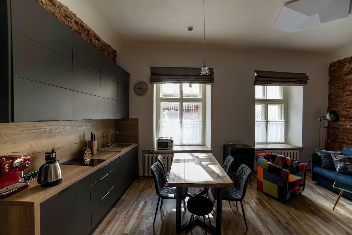 Old Riga Loft风格设计的单间公寓，带额外设施