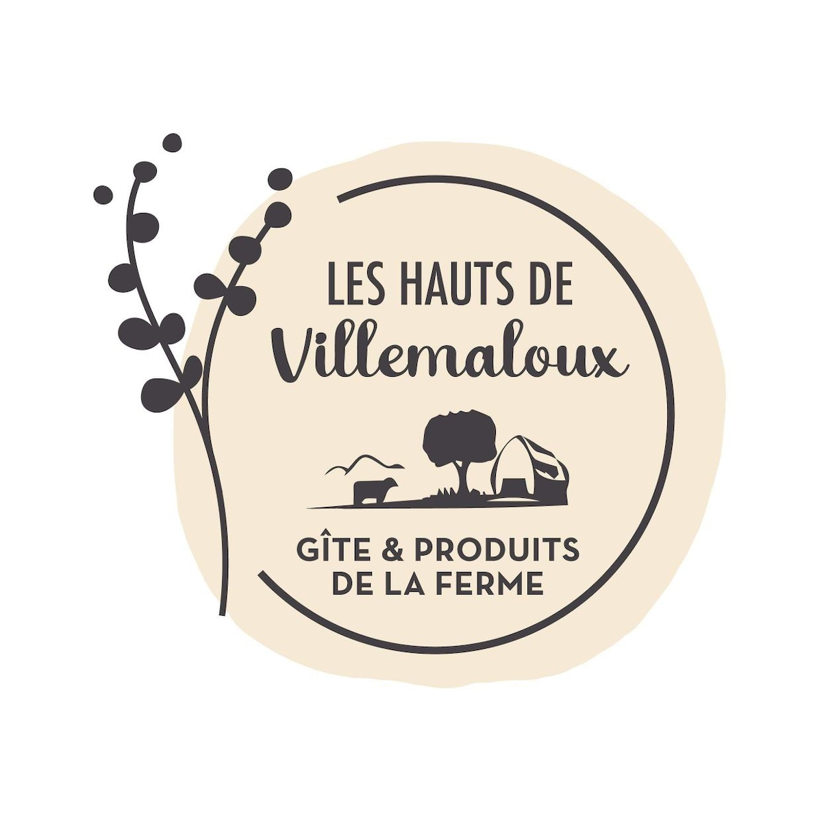 Les Hauts de Villemaloux度假屋