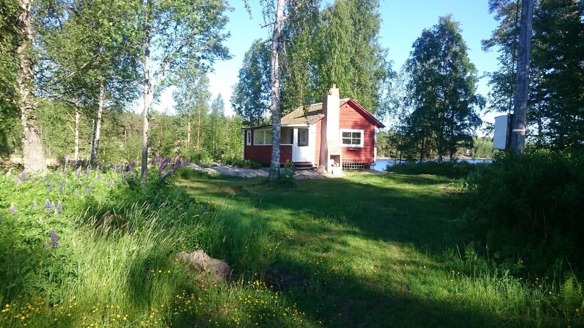 靠近湖泊和自然的舒适小屋。