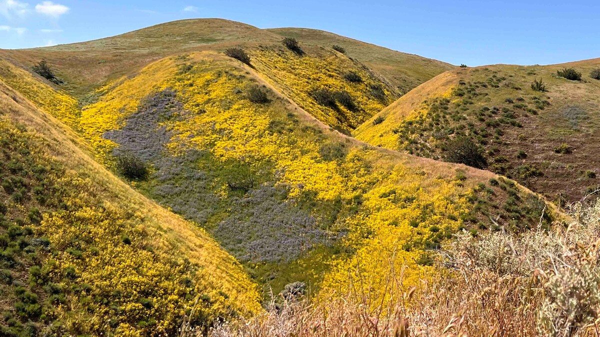 安静的山间度假胜地……风景的变化