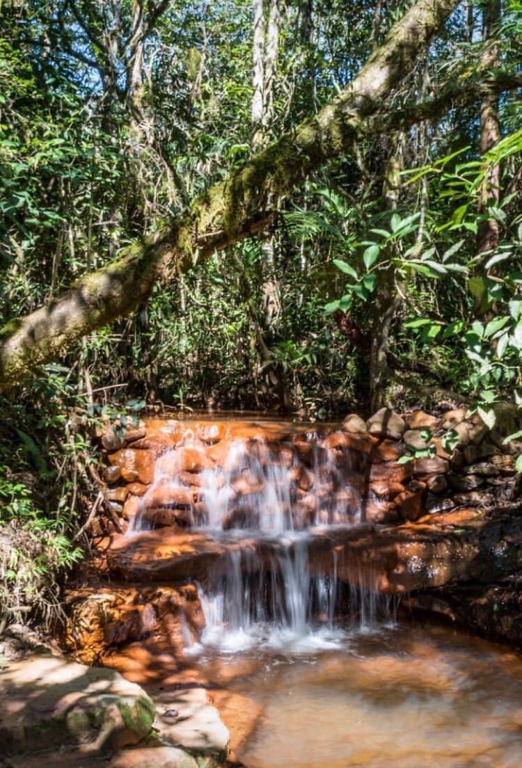 Casa de Campo de Pardinho ninho verde ninho 2