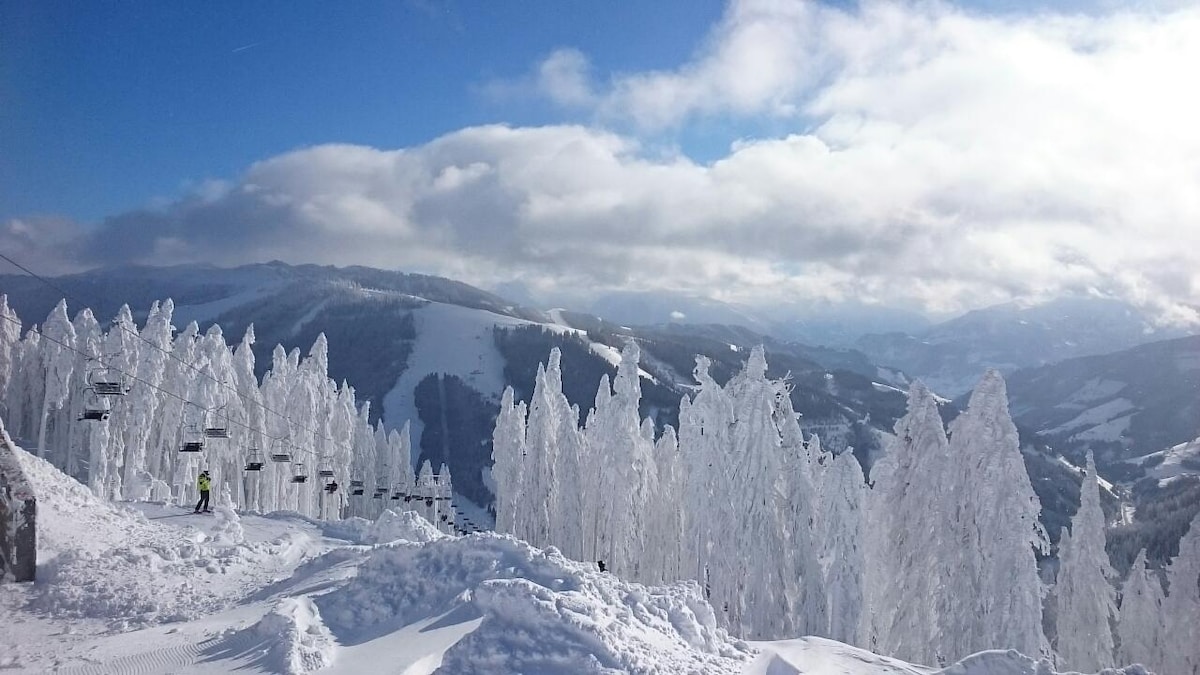 Schneebergblick