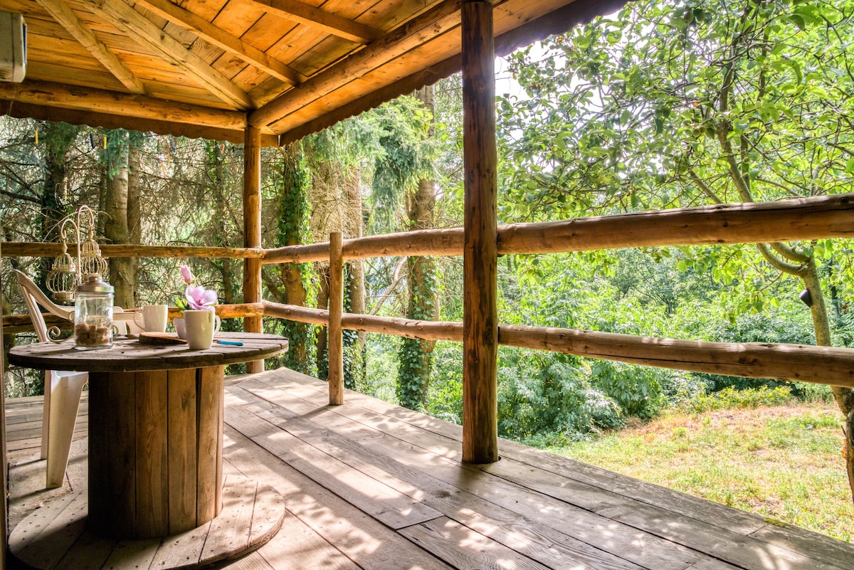 蒙塔涅之旅（ Chalet dans la forêt en Montagne ）