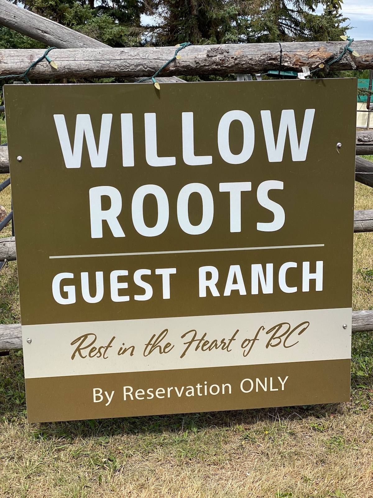 WillowRoots Guest Ranch