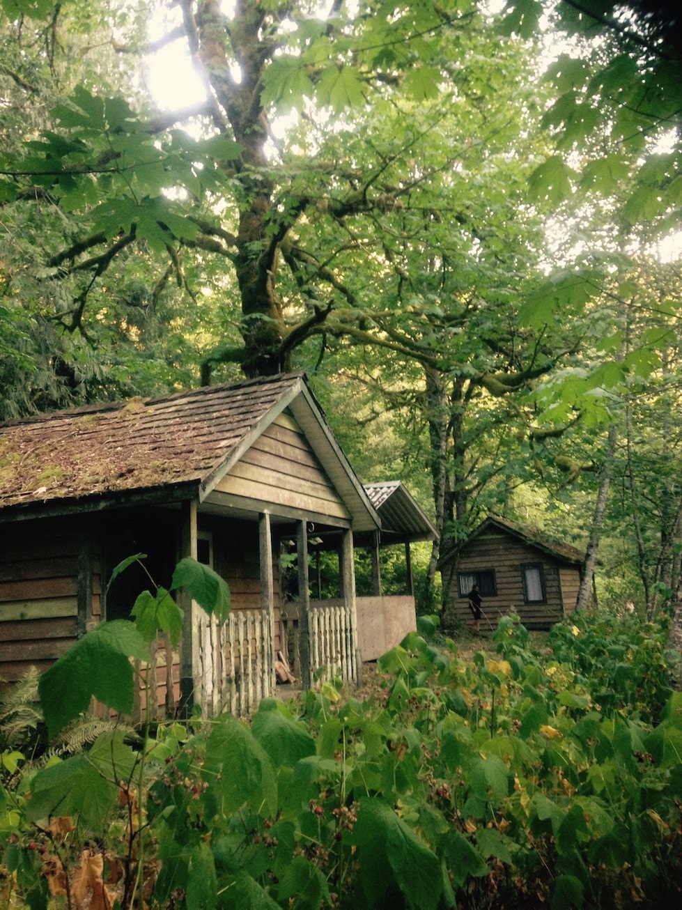 Eco Retreat Cabin 1, Cirrhosis Of The River