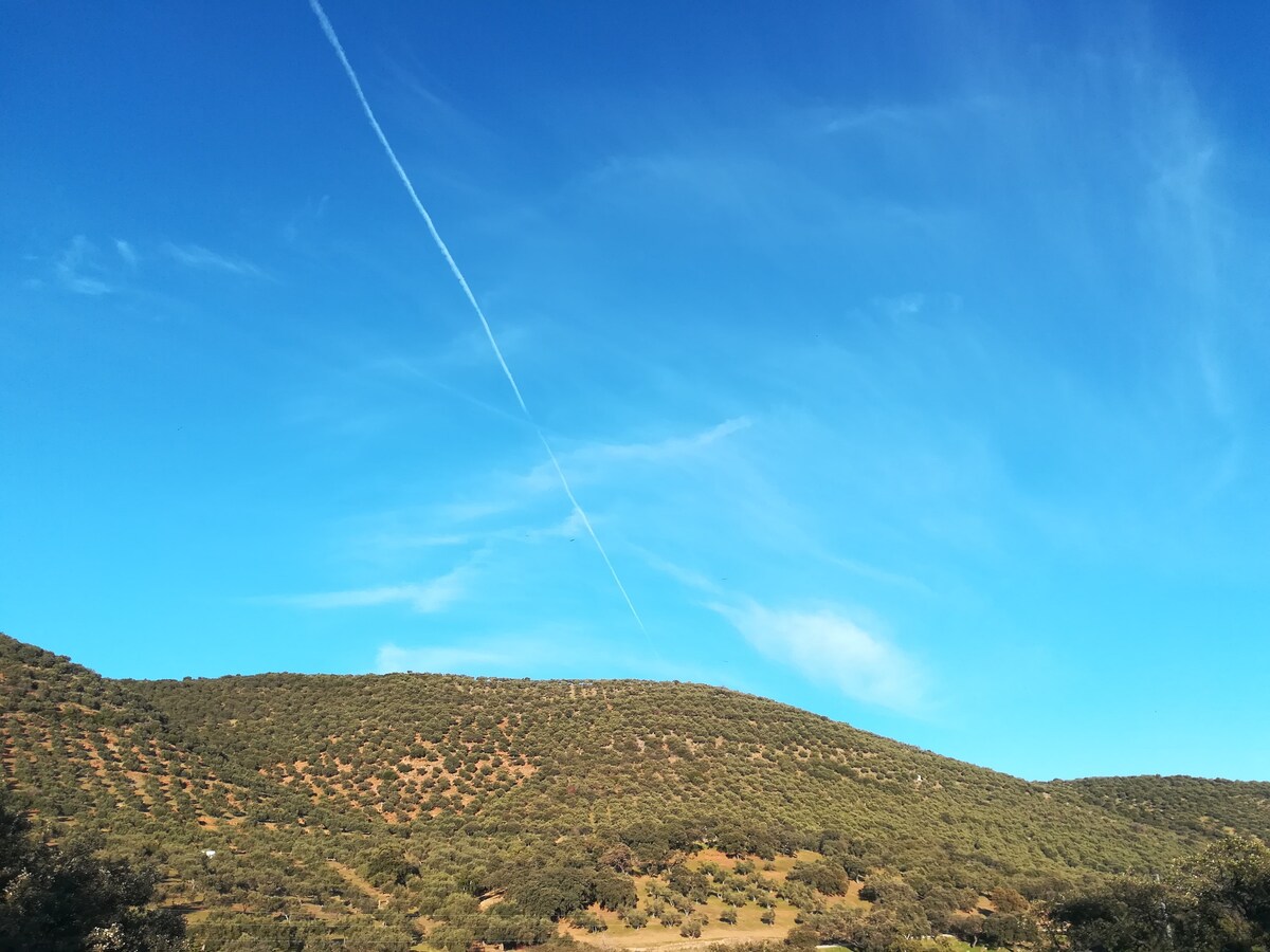 LAS CORCHAS农村住房