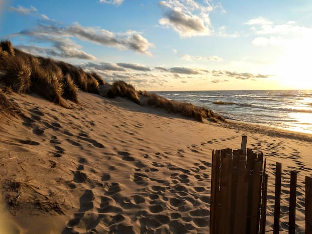 霍兰德(Holland)的民宿