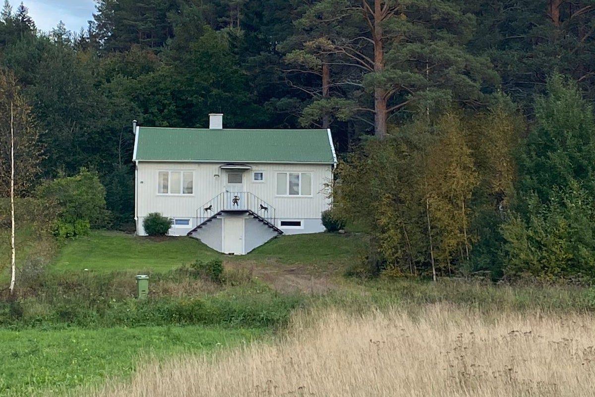 Villa Styrnäs