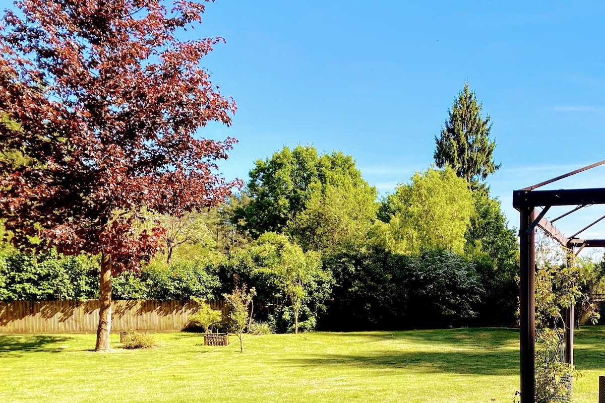 Under the Damson Tree Cabin