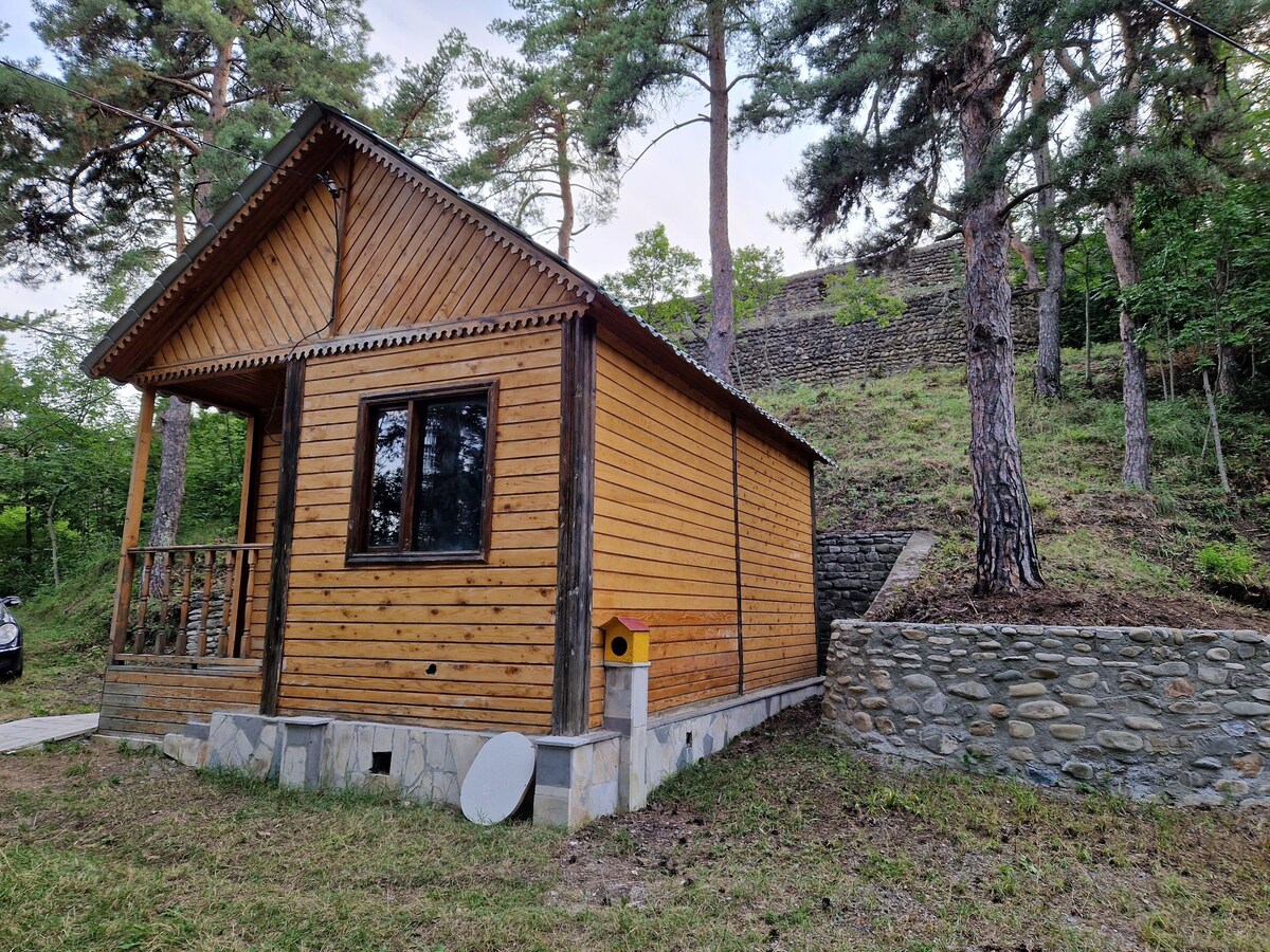 Cottage in the Forest