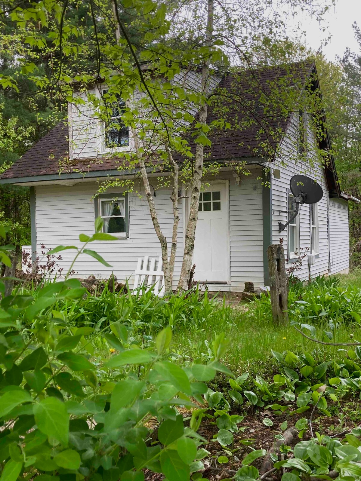 Rustic garden cottage