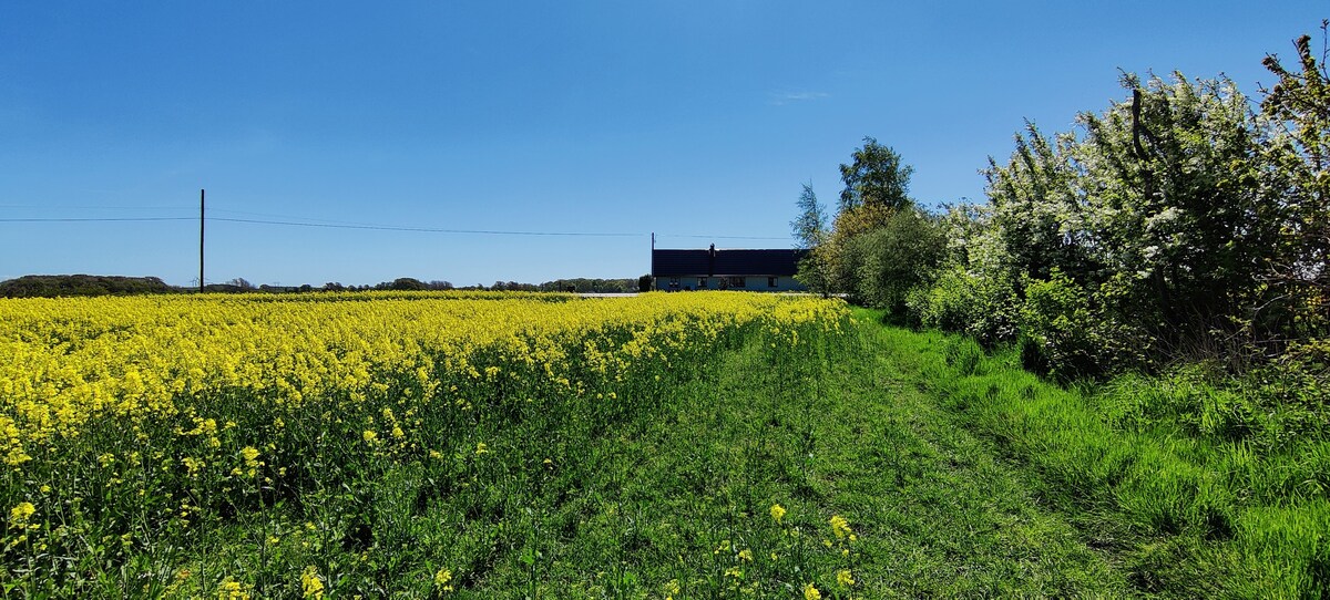 Ljus och fin lägenhet i ladugård