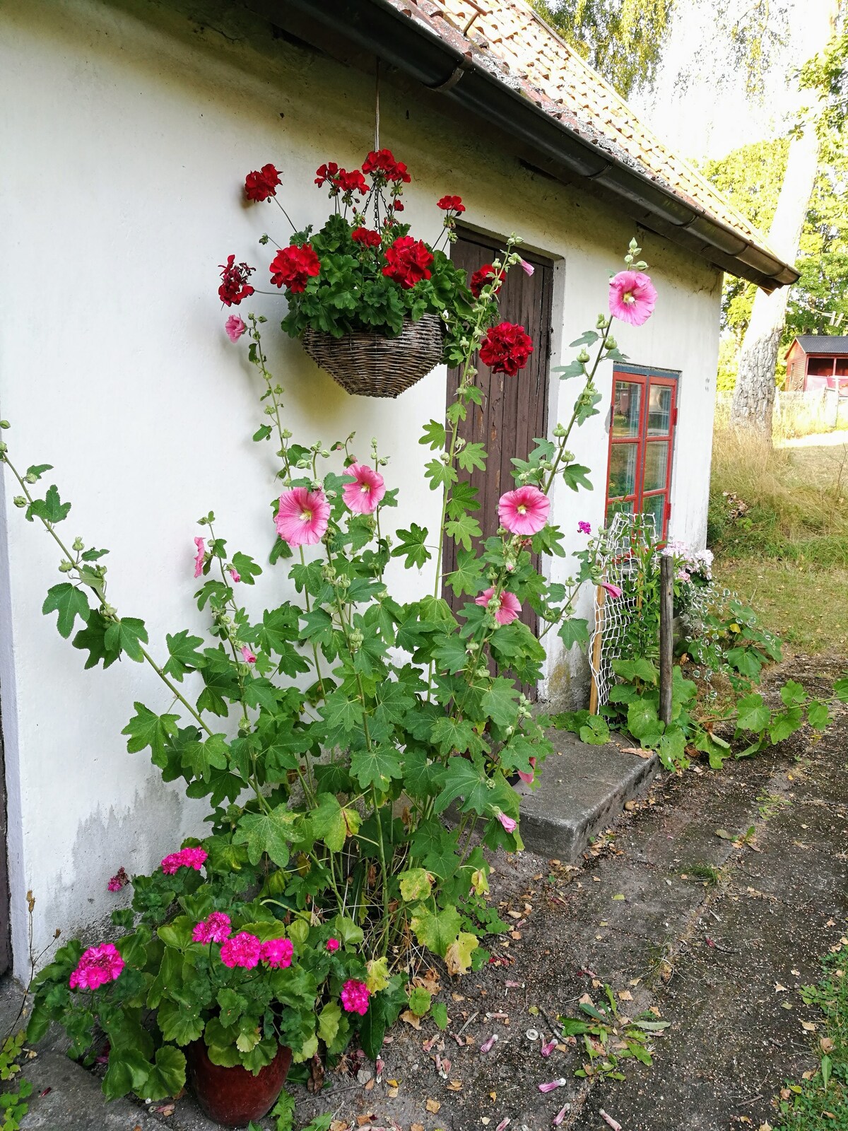 位于Brösarps风景优美的宁静环境中的婆婆之家