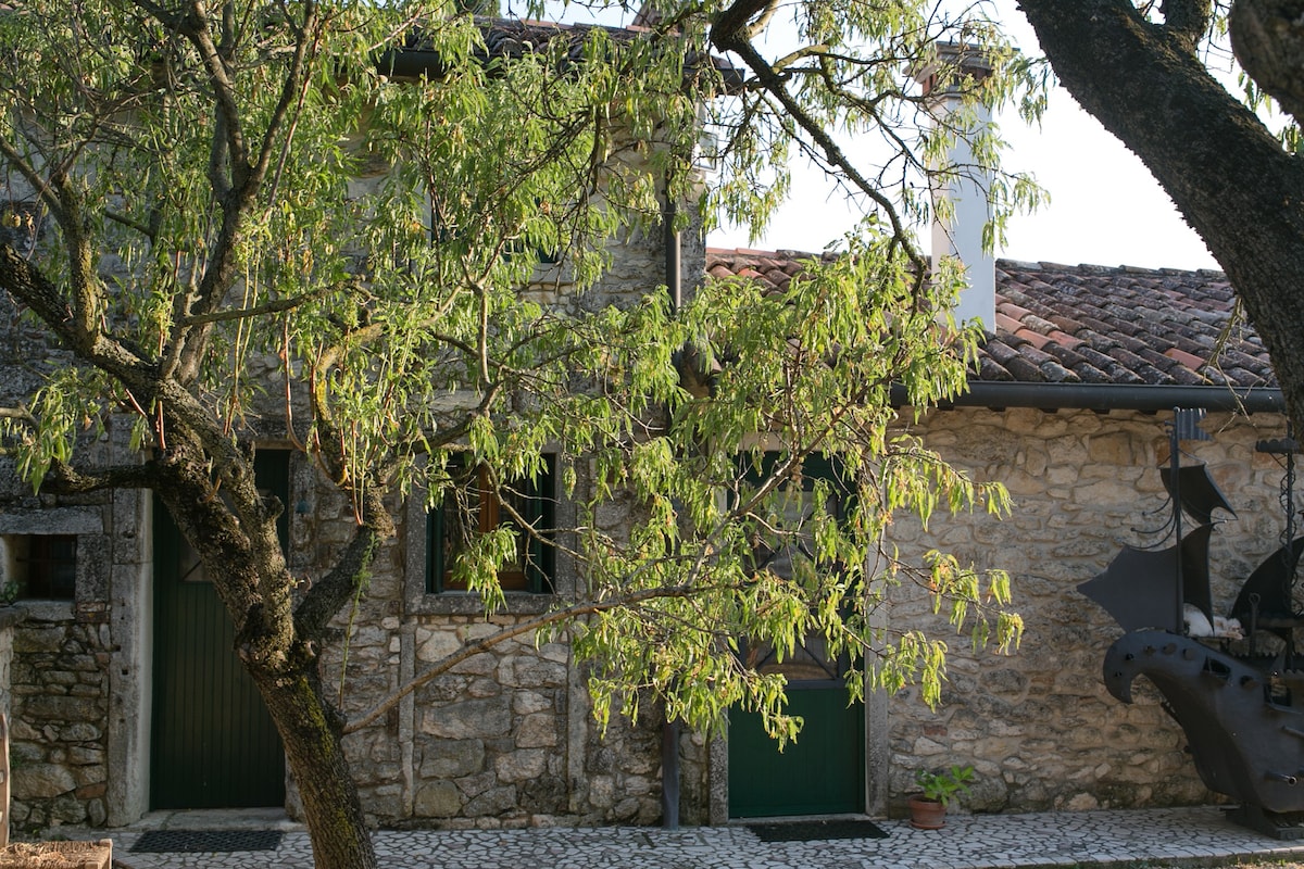 The Thinker 's Refuge - in the Berici Hills